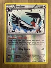 Swellow
