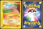 Swinub