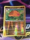 Swinub