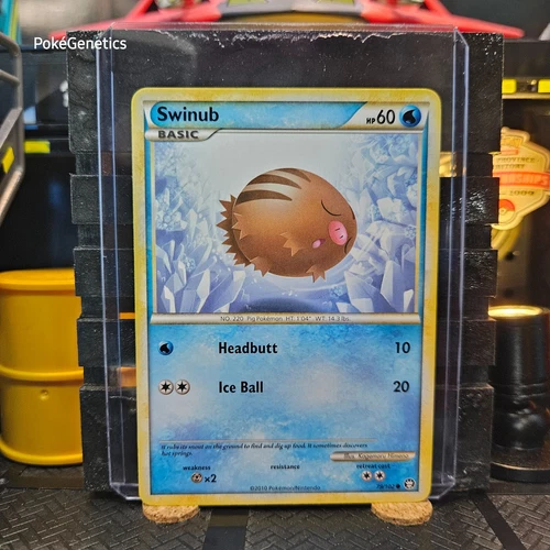 Swinub