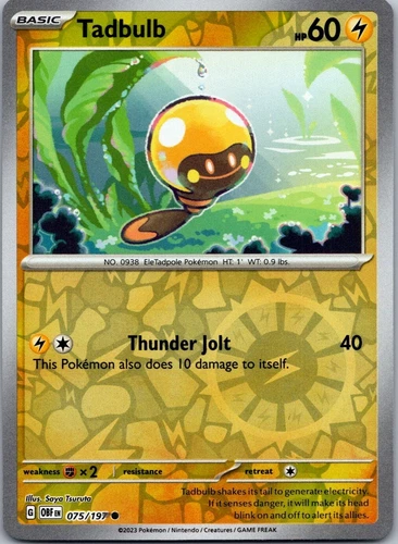 Tadbulb