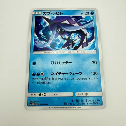 Tapu Fini