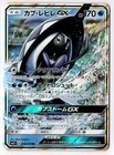 Tapu Fini