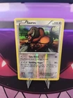 Tauros
