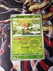 Shaymin