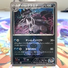 Team Aqua's Mightyena