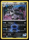 Team Aqua's Mightyena