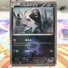 Team Aqua's Poochyena