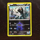 Team Aqua's Poochyena