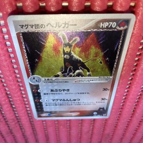 Houndoom EX