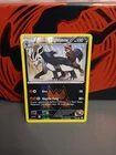 Team Magma's Mightyena