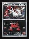 Team Magma's Poochyena