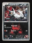 Team Magma's Poochyena