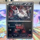 Team Magma's Poochyena