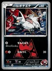 Team Magma's Poochyena