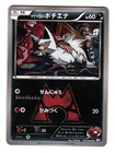 Team Magma's Poochyena