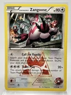 Team Magma's Zangoose