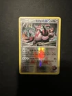 Team Magma's Zangoose