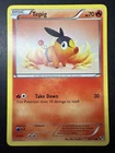 Tepig