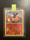 Tepig