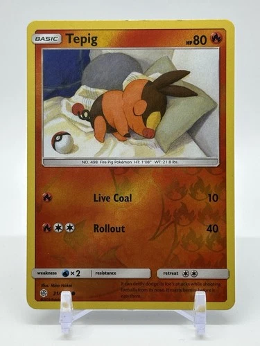 Tepig
