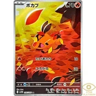 Tepig