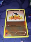 Tepig
