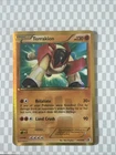 Terrakion