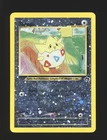 Tepig