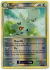 Togetic