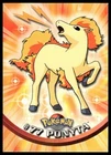 Ponyta