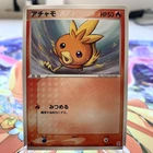 Torchic