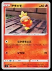 Fiery Torch