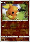 Torchic