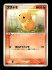 Torchic