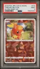 Torchic