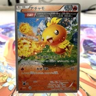 Torchic