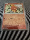 Torchic