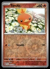 Torchic