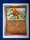 Torchic