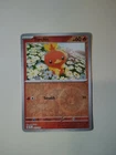 Torchic