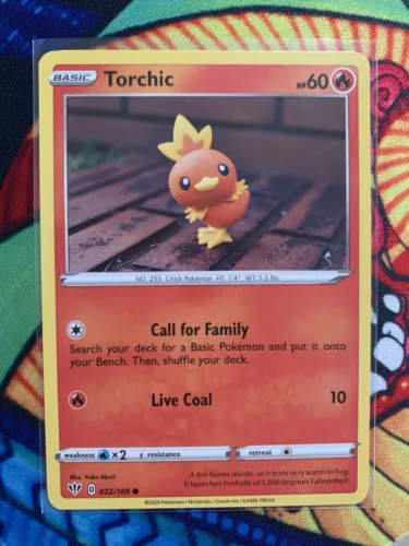 Torchic