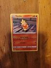 Torchic