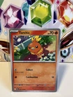 Torchic