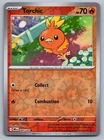 Torchic