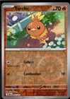 Torchic