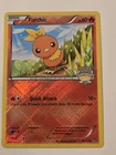 Torchic