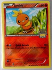 Torchic