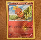 Torchic