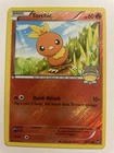 Torchic